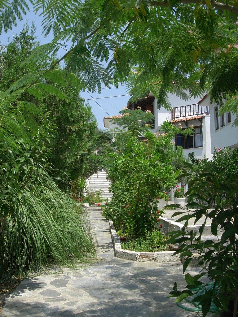 Stone garden path